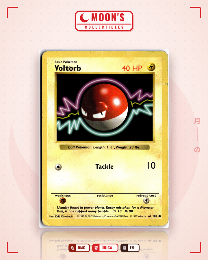 Voltorb · Base #67/102 · DMG