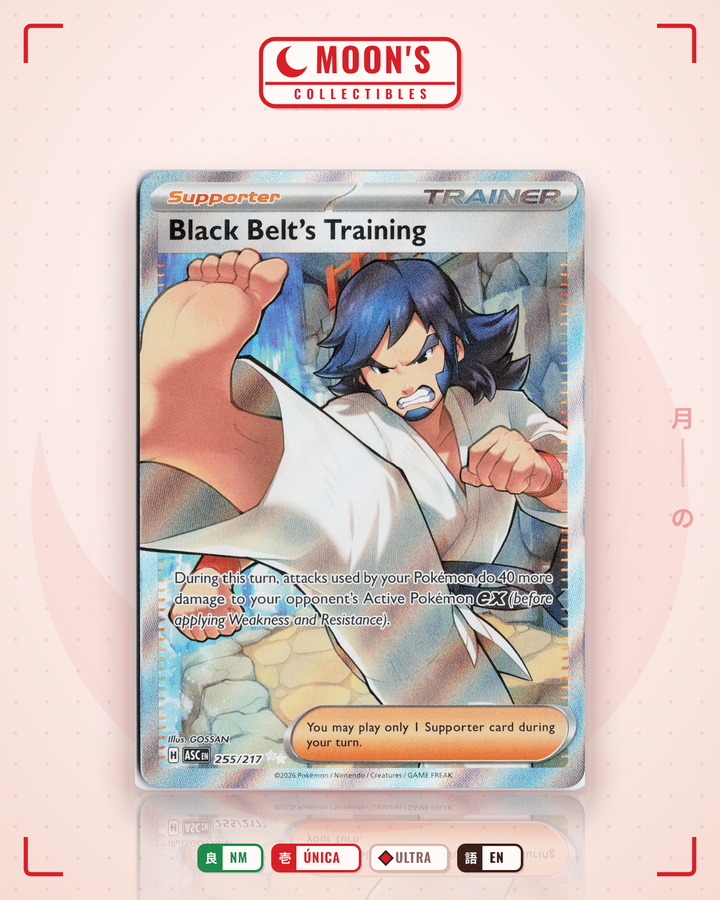 Black Belt's Training · Ascended Heroes #255/217 · NM