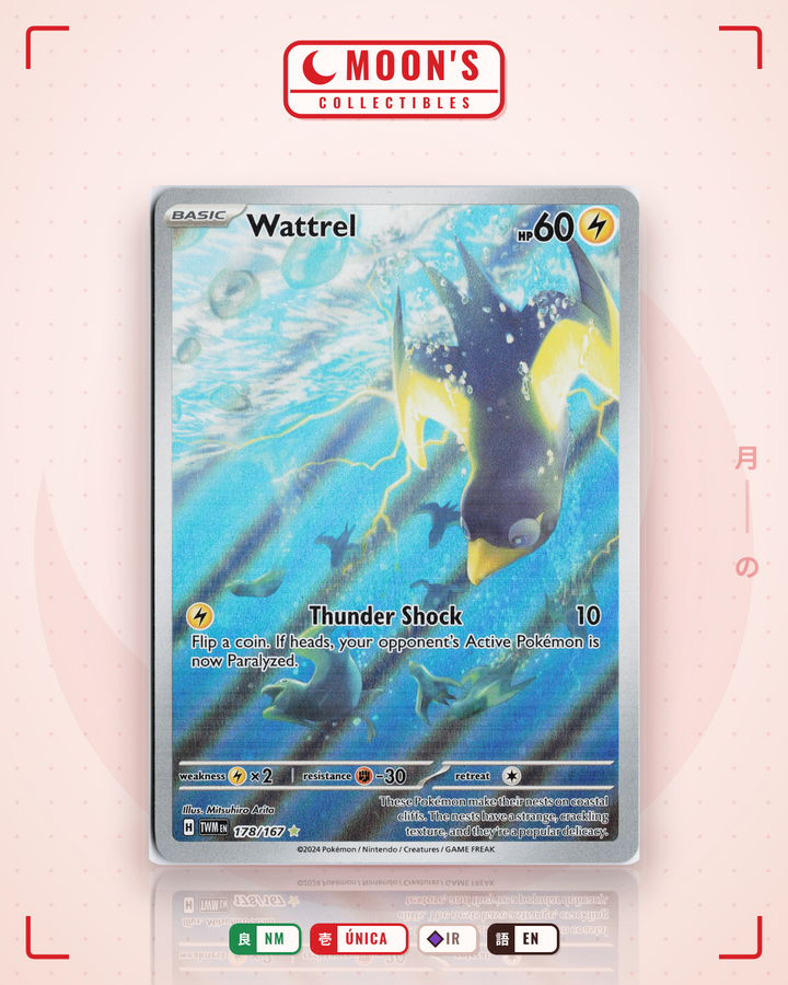 Wattrel · Twilight Masquerade #178/167 · NM