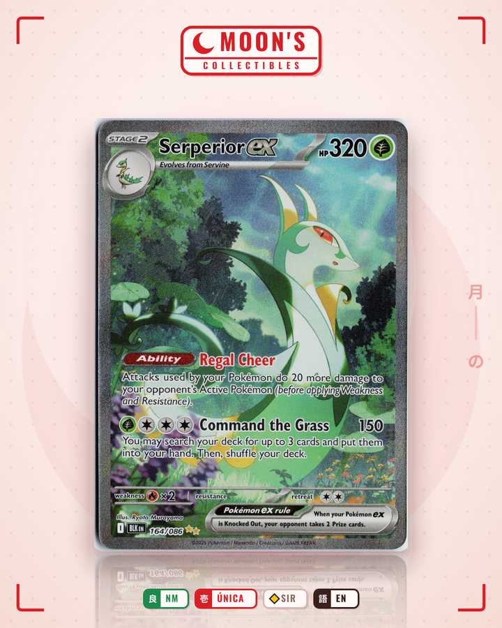 Serperior ex · Black Bolt #164/086 · NM