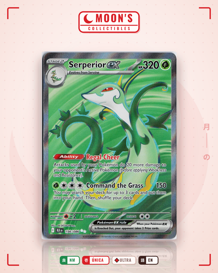 Serperior ex · Black Bolt #156/086 · NM
