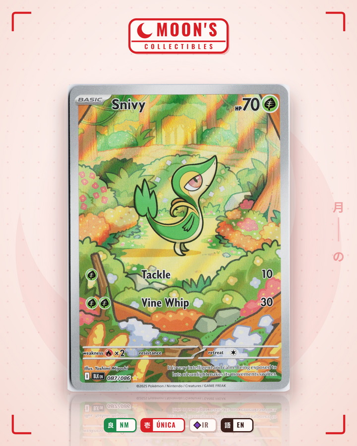 Snivy · Black Bolt #087/086 · NM