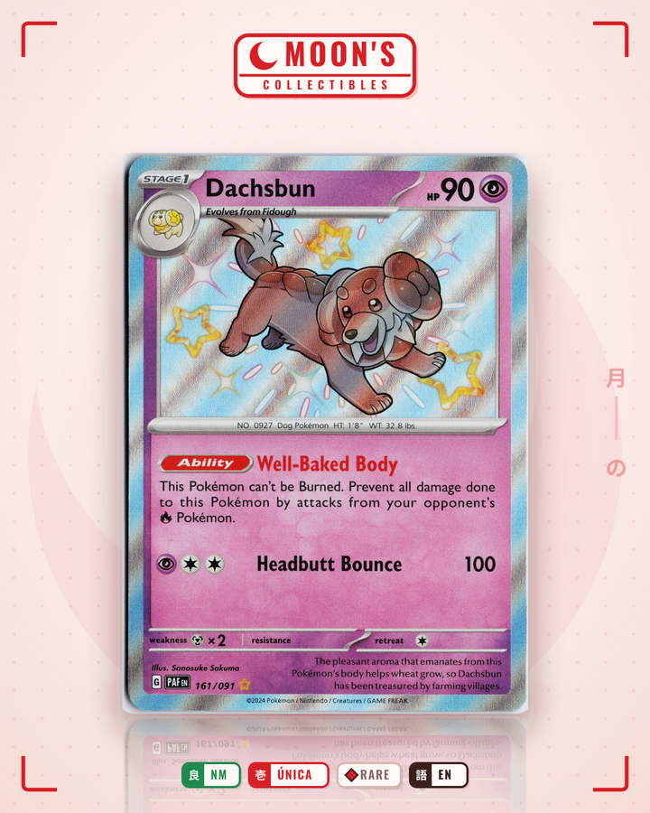 Dachsbun · Paldean Fates #161/091 · NM