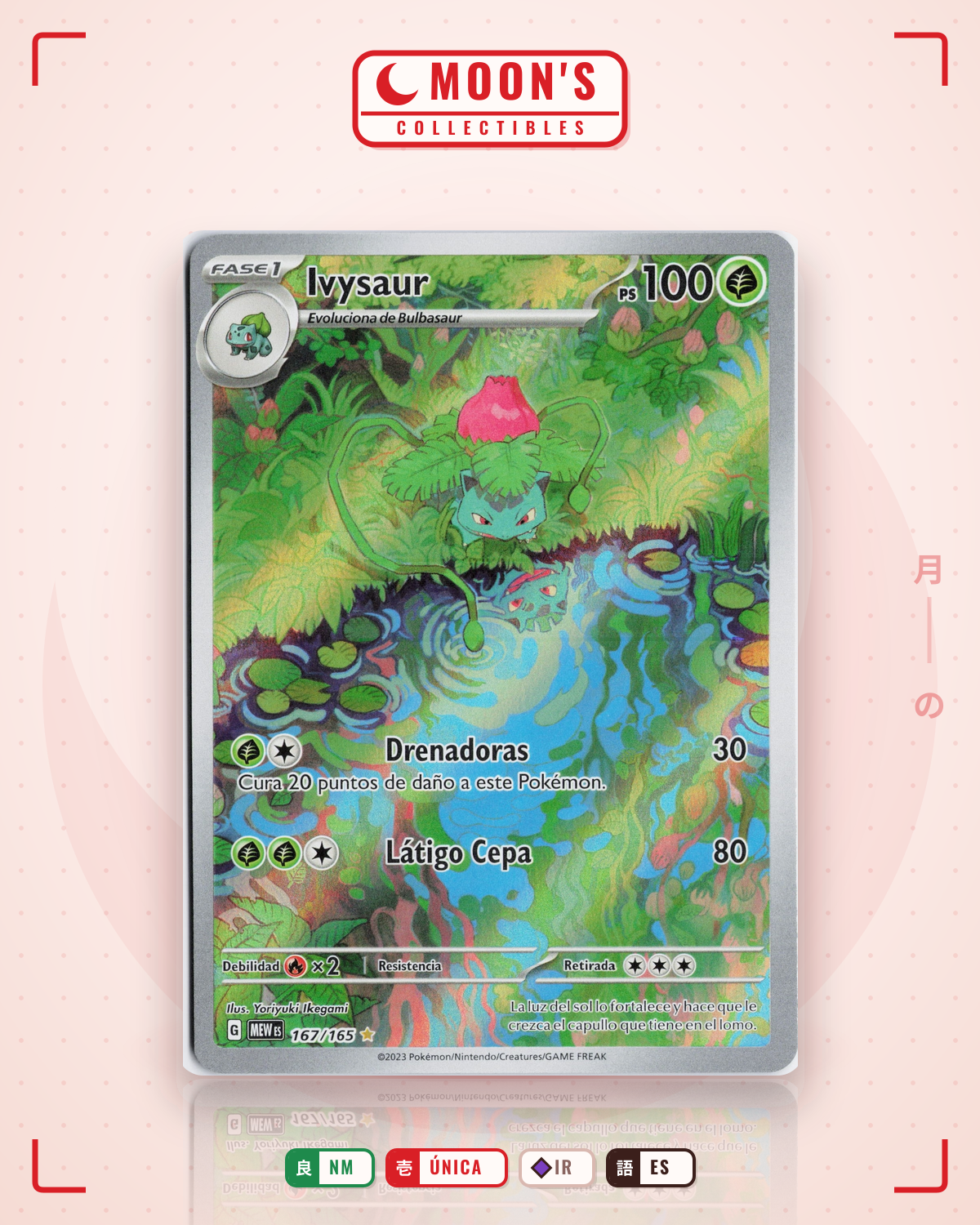 Carta Pokémon Ivysaur · 151 #167/165 (NM) — pieza única en Moon's Collectibles México