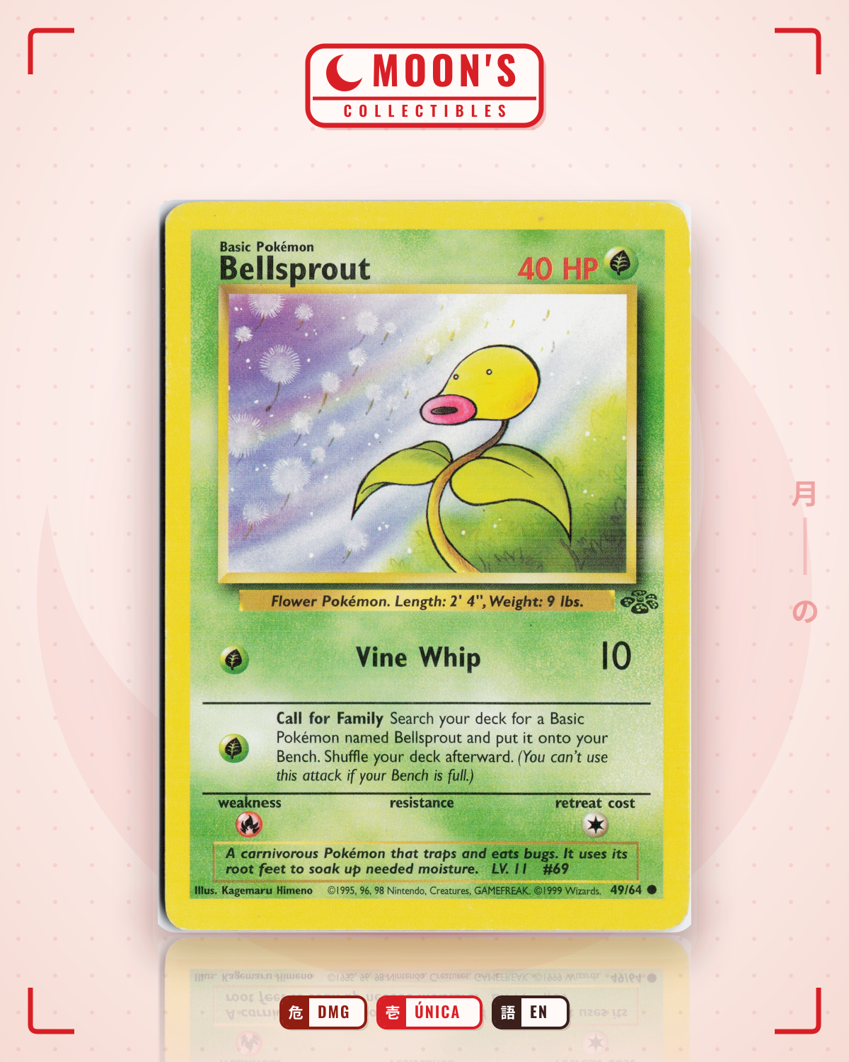 Carta Pokémon Bellsprout · Jungle #49/64 (DMG) — pieza única en Moon's Collectibles México