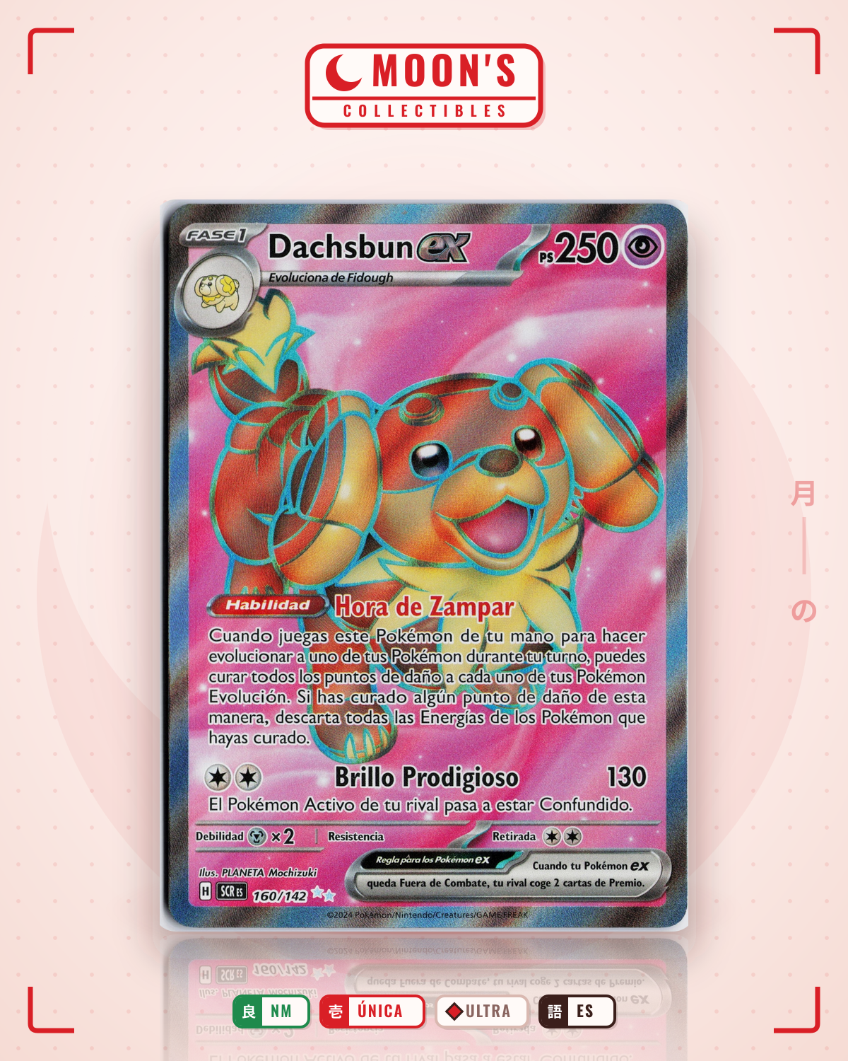 Carta Pokémon Dachsbun ex · Stellar Crown #160/142 (NM) — pieza única en Moon's Collectibles México