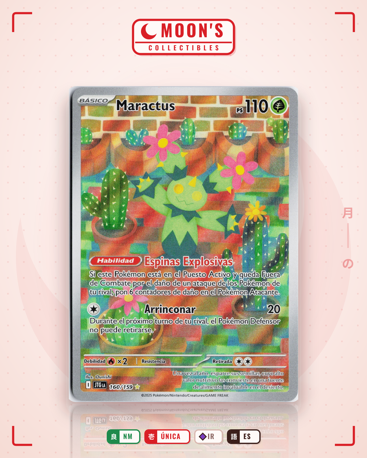 Carta Pokémon Maractus · Journey Together #160/159 (NM) — pieza única en Moon's Collectibles México