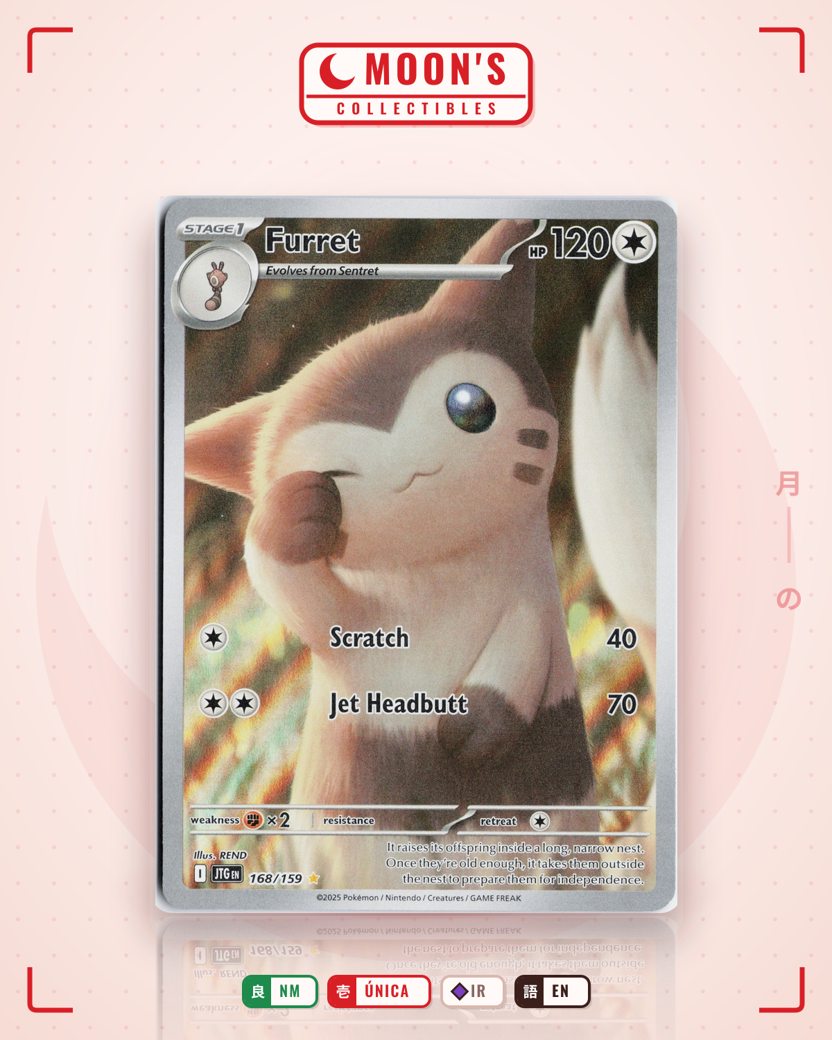 Carta Pokémon Furret · Journey Together #168/159 (NM) — pieza única en Moon's Collectibles México