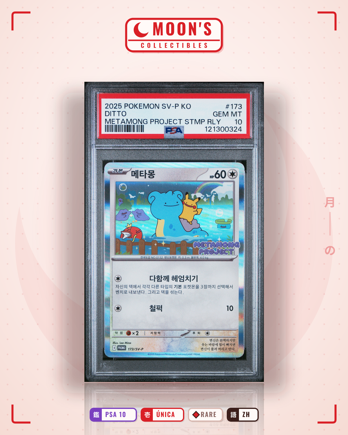Carta Pokémon Ditto · Korean Promo #7/144 (PSA 10) — pieza única en Moon's Collectibles México