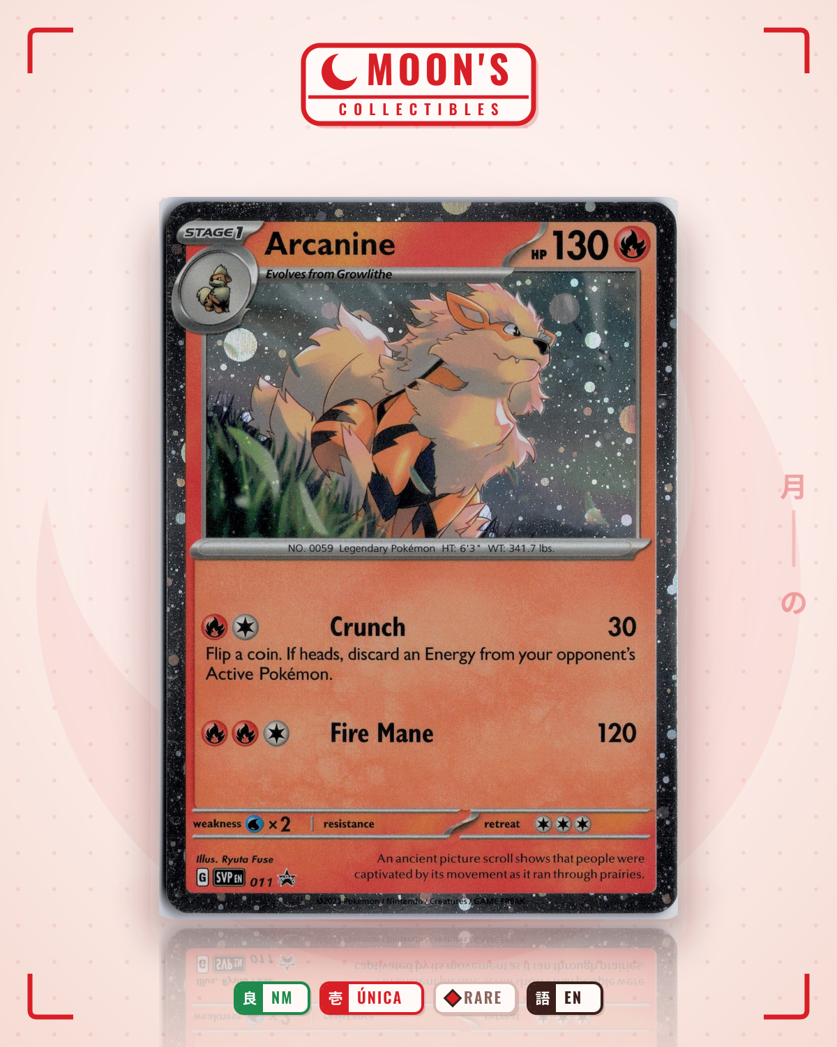 Carta Pokémon Arcanine · Scarlet & Violet Black Star Promos #011 (NM) — pieza única en Moon's Collectibles México