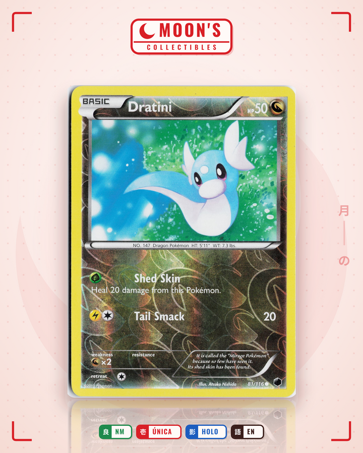 Dratini · Plasma Freeze #81/116 · NM