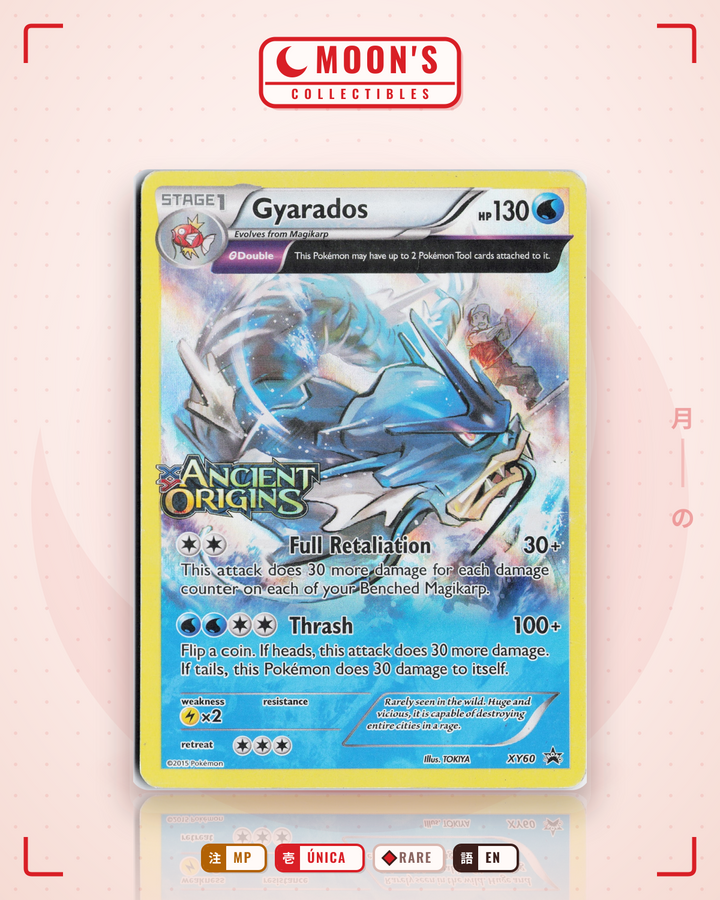 Gyarados · XY Black Star Promos #XY60 · MP