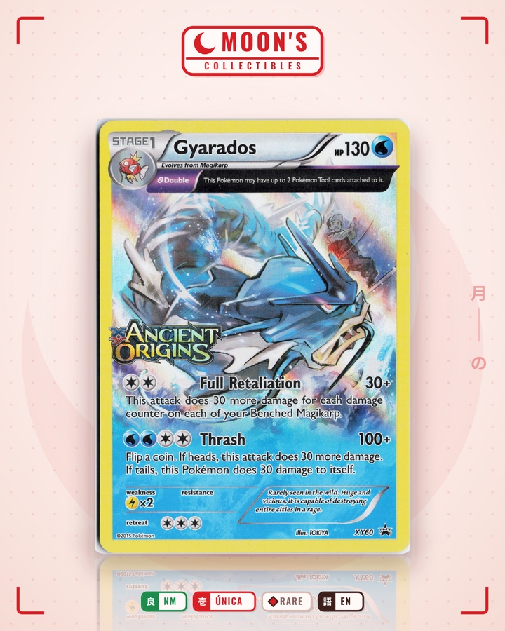 Gyarados · XY Black Star Promos #XY60 · NM