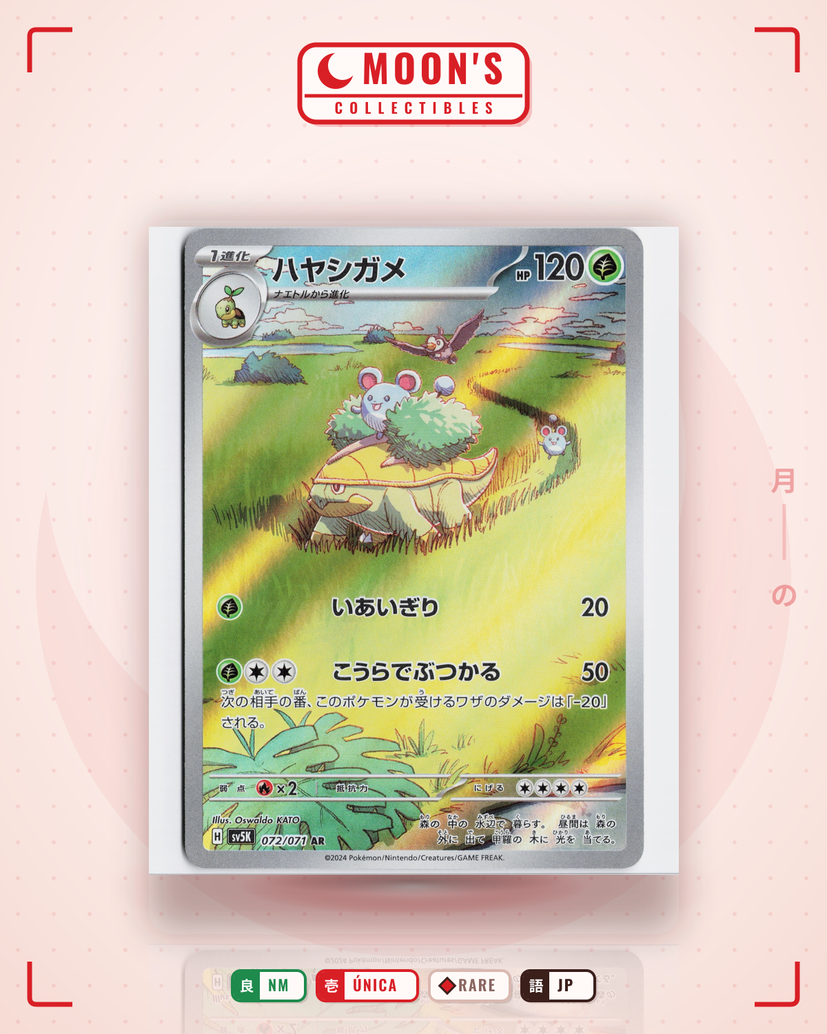 Carta Pokémon ハヤシガメ · ワイルドフォース #072/071 (NM) — pieza única en Moon's Collectibles México